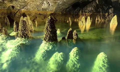 Phong Nha "tỏa sáng" trong bảng xếp hạng điểm nghỉ dưỡng thiên nhiên hàng đầu châu Á