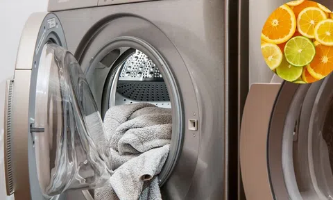 Quần áo giặt xong vẫn ám mùi: Nguyên nhân từ lồng giặt và cách xử lý nhanh gọn