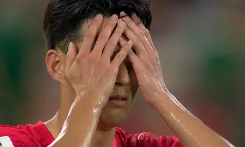 Bị loại sớm ở World Cup, Hàn Quốc mở điều tra, Tổng thống xin lỗi