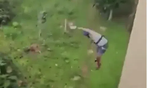 Đang chơi zipline, du khách bất ngờ rơi khỏi dây cáp từ độ cao 12 m