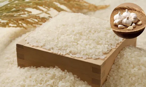 Vì sao nhiều người đặt tỏi vào thùng gạo? Mẹo nhỏ nhưng mang lại nhiều lợi ích bất ngờ