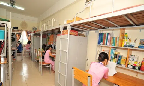 Vì sao ký túc xá thường dùng giường tầng? Lý do nằm ở bài toán diện tích và chi phí