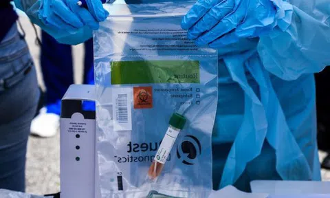 Virus Corona len lỏi trong cơ thể bệnh nhân như thế nào?