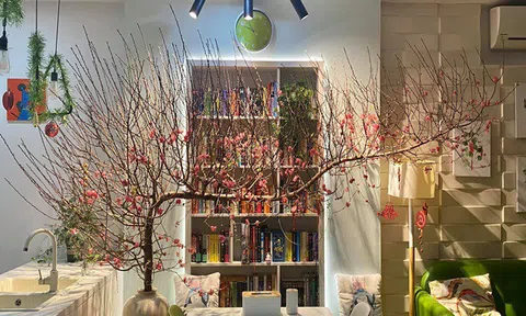 Đào huyền sốt dịp Tết Tân Sửu, dân mạng đua nhau khoe rinh được cành dáng độc