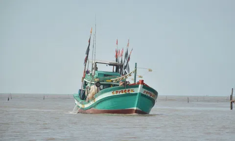 Cà Mau: Phát hiện hàng chục người nhập cảnh trái phép đường biển