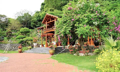 Nhân thân bất hảo, quá khứ đầy tội lỗi của trùm giang hồ Dũng "Phương"