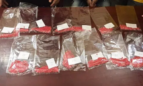 Trinh sát kể chuyện triệt phá chuyên án ma túy “khủng” giáp Tết