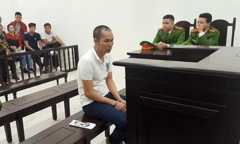 Năm mới, ngẫm về chữ tình chốn pháp đình