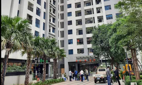 Phát hiện thư nghi là thư tuyệt mệnh của người Hàn Quốc tử vong