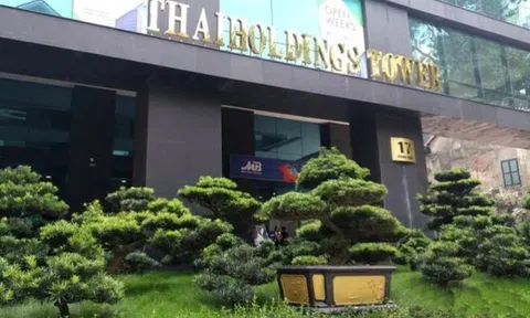 Thaiholdings của bầu Thụy kinh doanh ấn tượng, "ẩn số" lợi nhuận khác 2.674 tỷ đồng đến từ đâu?