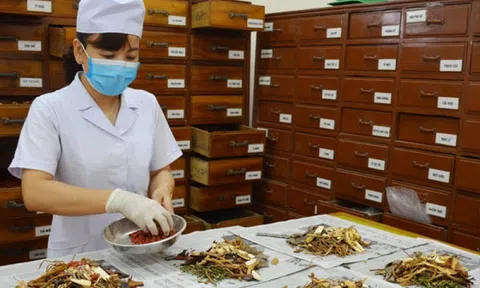 12 loại thuốc cổ truyền hỗ trợ điều trị COVID-19