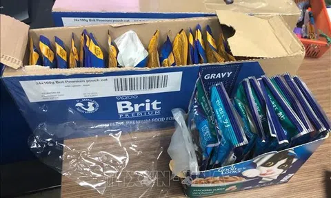 Cục Điều tra chống buôn lậu: Cảnh báo 8 chất ma túy lần đầu phát hiện ở Việt Nam