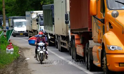 Lâm Đồng: Thu hồi 28 thẻ 'luồng xanh' vận tải do vi phạm quy định phòng, chống dịch