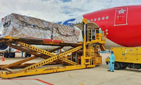 13 tấn trang thiết bị y tế viện trợ của Thụy Sỹ đã về đến Việt Nam