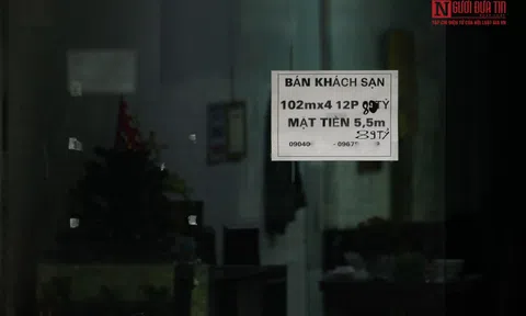 Phá sản, thất nghiệp vì dịch COVID: "Thất vọng nhưng không tuyệt vọng"