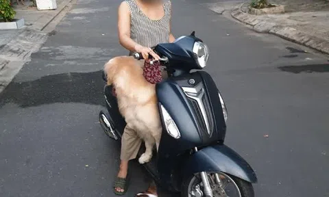 Xử nghiêm hành vi coi thường dịch bệnh, chống đối lực lượng chức năng