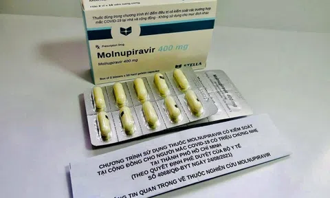 Bộ Y tế đưa thuốc kháng virus Molnupiravir đưa vào điều trị F0 tại nhà từ ngày 27/8