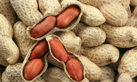 Luộc lạc đừng cho ngay vào nồi, làm cách này lạc mới ngon hoàn hảo