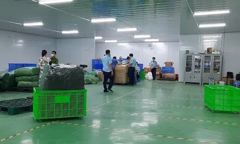 Hà Nội: Thu giữ hàng trăm nghìn vật tư y tế vi phạm, giả mạo nhãn hiệu