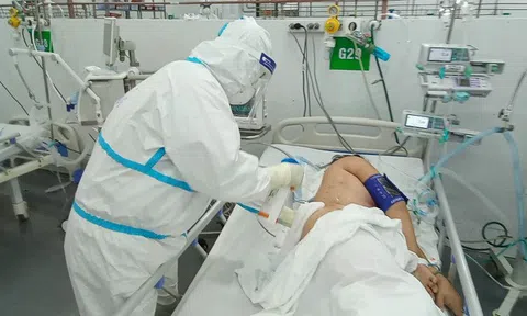 Thông tin 30 ca Covid-19 tử vong tại Cà Mau là không chính xác