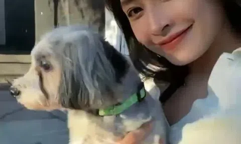 Chi Pu bị soi vòng 2 to bất thường sau tin đồn sang Mỹ 'lánh nạn'