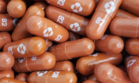 Thuốc Molnupiravir có thể hiệu quả với nhiều loại biến thể của SARS-CoV-2, kể cả Delta