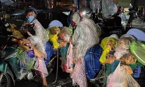 Vụ tiêu hủy 16 con chó, mèo của vợ chồng mắc Covid-19: Động cơ là phòng chống dịch nhưng làm hơi gấp