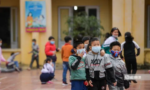 Thanh Hoá chi 207 tỷ đồng cho giáo dục "chưa phù hợp" với Luật