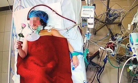 Bông hồng ấm tình người gửi sản phụ mắc Covid-19 hồi sinh từ “cửa tử”