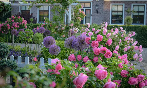 Phụ nữ khẳng định mình ở đâu?