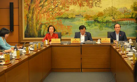 Cần có những bộ phim “của người Việt, cho người Việt và vì người Việt”