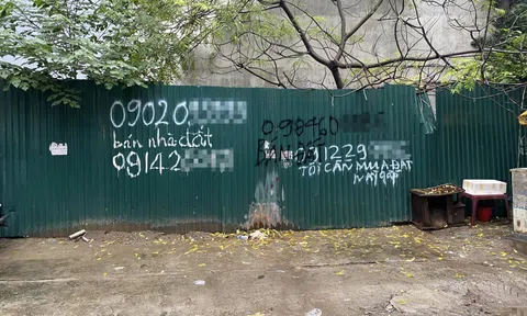 “Ngáo giá” tại phiên “chợ đất” trung tâm Hà Nội, giá trúng lên tới hơn 360 triệu đồng mỗi m2
