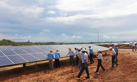 Làm rõ dấu hiệu gian lận tại gói thầu số 03 của Ban quản lý dự án điện 2