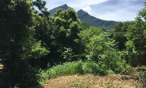 Sau một thập kỷ "án binh bất động", bất động sản Ba Vì “nóng” trở lại