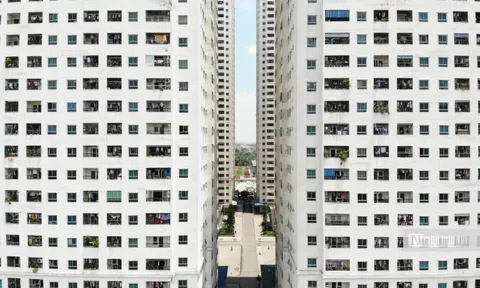 Bộ Xây dựng: Hơn 80% sàn giao dịch bất động sản không có doanh thu