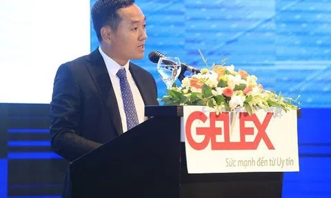 Sếp lớn Gelex dự chi nghìn tỷ gom thêm 30 triệu cổ phiếu GEX