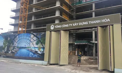 Hai dự án đất vàng Cát Linh về tay đại gia Thanh Hóa Trương Lâm như thế nào?