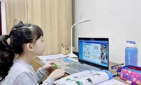 Học online: Kiểm tra trực tuyến thế nào cho minh bạch và công bằng?