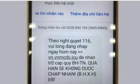Bình Dương: Cảnh báo lừa đảo nhận tiền từ Quỹ bảo hiểm thất nghiệp