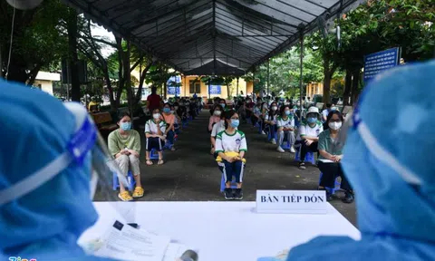 Sở GD&ĐT TP.HCM đề nghị khẩn cung cấp mã định danh cho học sinh