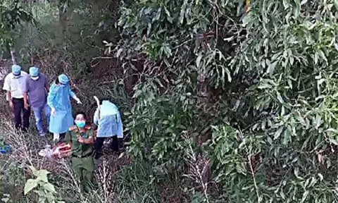 Lộ diện nghi phạm sát hại người phụ nữ bán gà, giấu thi thể trong núi