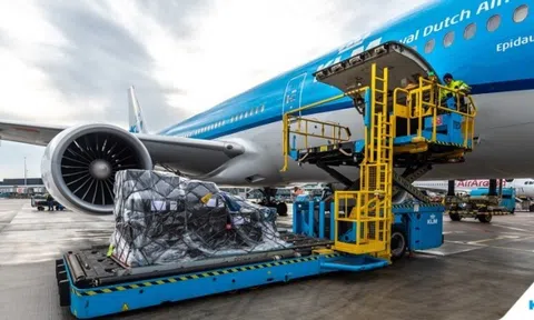 61 hành khách từ Nam Phi đến Hà Lan mắc Covid-19