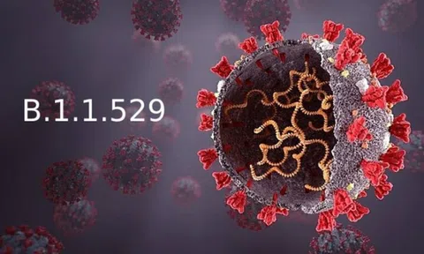 Đề xuất Chính phủ dừng các chuyến bay đến và đi một số nước châu Phi