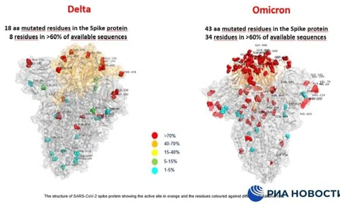 Công bố hình ảnh đầu tiên so sánh lượng đột biến giữa “siêu biến thể” Omicron và Delta