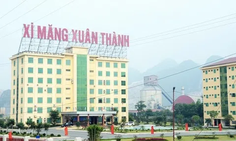 Xuân Thiện Group của đại gia Nguyễn Văn Thiện lần đầu báo lỗ