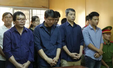 Vụ "logo xe vua" tại TP.HCM: Không đủ căn cứ buộc tội 80 CSGT, thanh tra giao thông nhận hối lộ