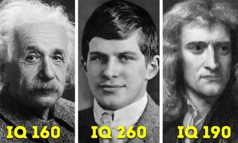 Cuộc đời đầy bất hạnh của thiên tài sở hữu IQ cao nhất thế giới, vượt xa cả Einstein và Newton
