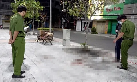 Vụ dân quân tự vệ bị sát hại, cướp tài sản trên phố đi bộ: Nghi phạm sống lang thang, từng có 2 tiền án