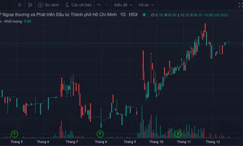MB Capital đăng ký bán 4,5 triệu cổ phiếu FDC sau lùm xùm TGĐ bị bắt