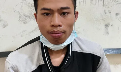 Hà Nội: Tạm giữ nam thanh niên giở trò đồi bại em gái của người yêu